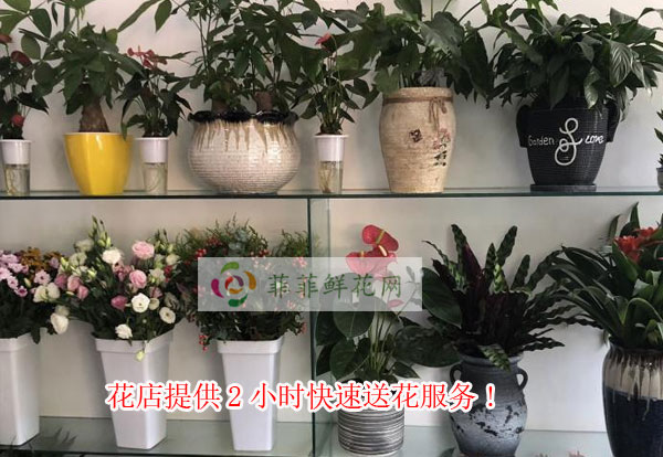 天津汉沽区花店提供天津汉沽区2小时快速送花服务
